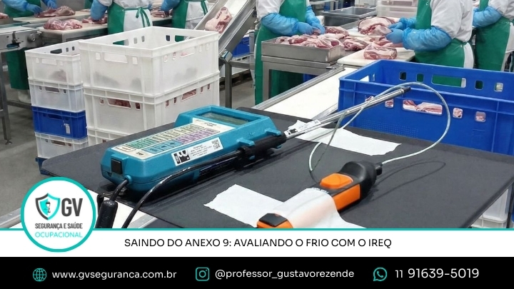 Saindo do arcaico texto do anexo 9 da NR 15 e avaliando o frio com a base metodológica do IREQ